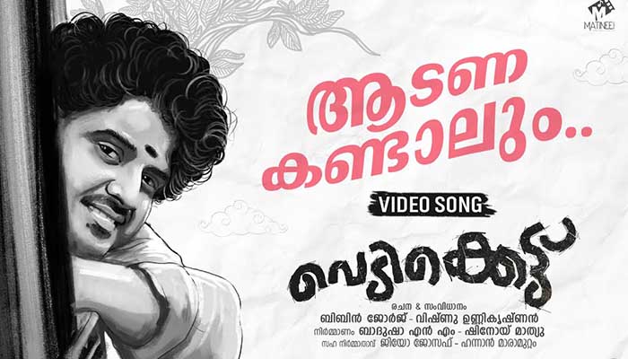 Aadana Kandaalum Lyrics-Vedikkettu