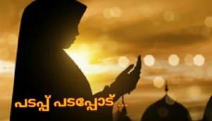 Padappu Padappodu song lyrics - Rahna - Mappila songs